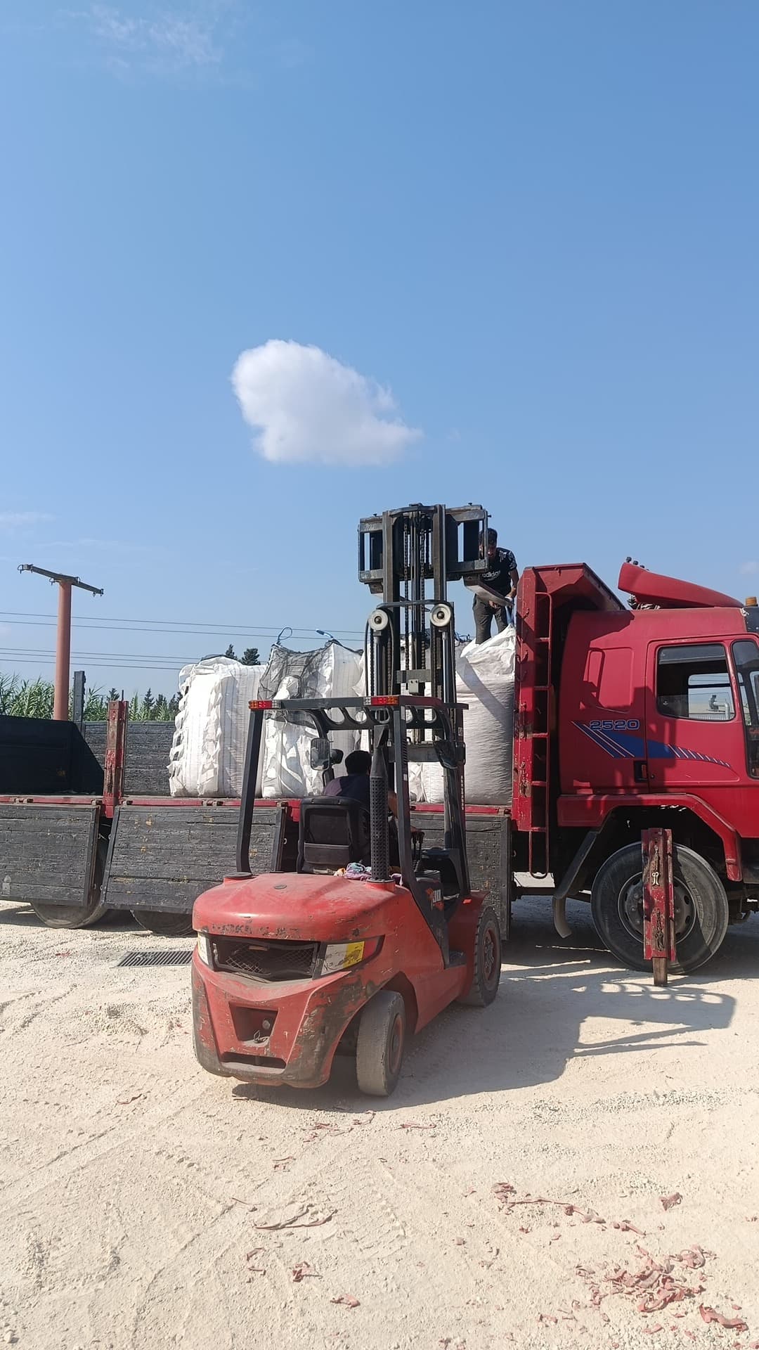 Forklift ile kamyona paletli yük yükleme